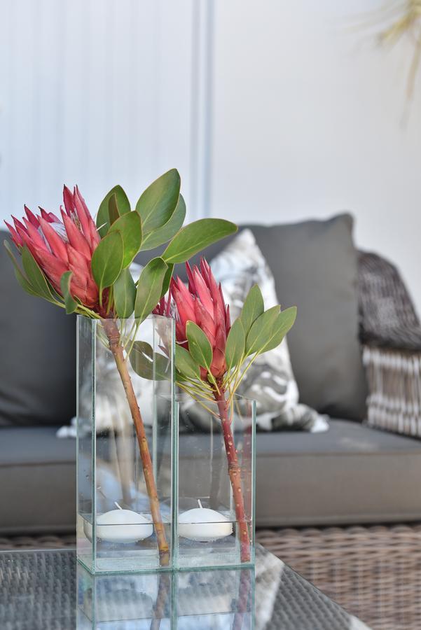 Vilacqua Boutique Guest Villa Plettenberg Bay Extérieur photo