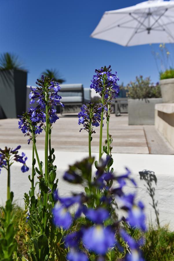Vilacqua Boutique Guest Villa Plettenberg Bay Extérieur photo